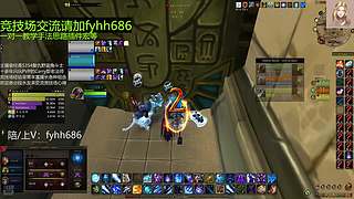 V法-全职业PVP上分(国美欧亚）