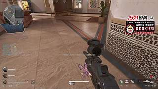 【1573电竞】西圣和麻鸭