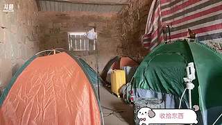 茶美人的荒岛求生