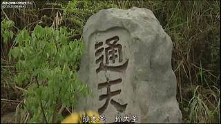 美丽的孔雀公主