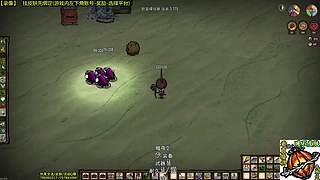 测试版已更新 饥荒小明鸽i