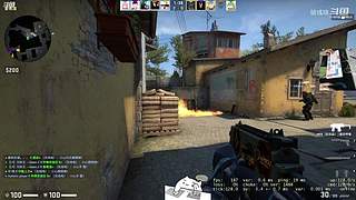 【人道洛阳花似锦】偏我来时不逢春