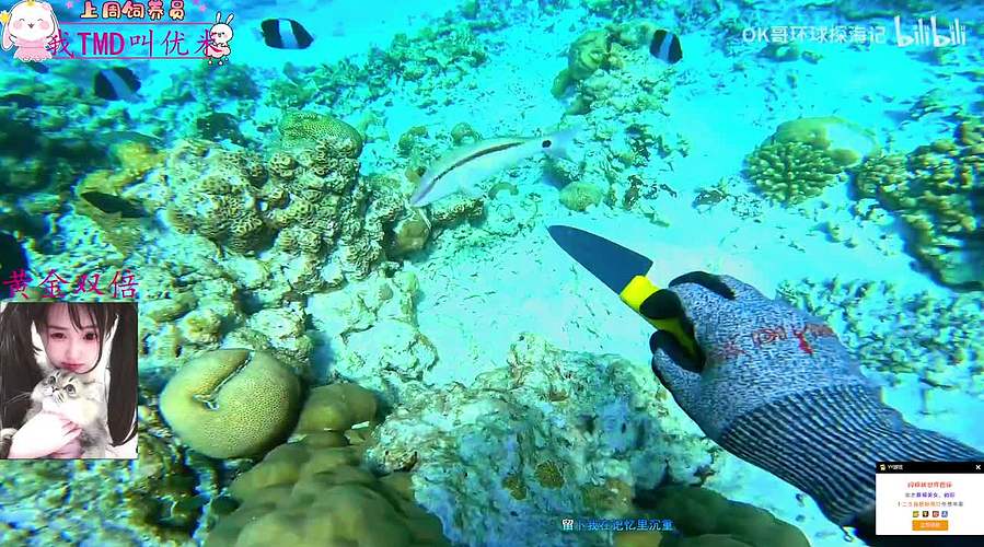 【黄金双倍】奶喵喵超级无敌白！！！