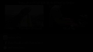 古典流行的完美结合 视觉听觉的最高享受