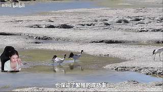 中年少男康养中心