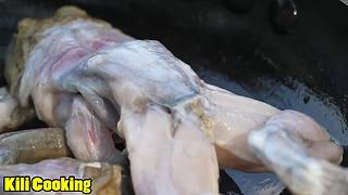 欢乐猴群纪录片