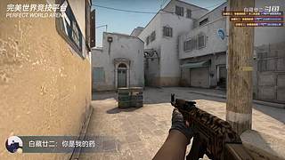 为了开心打游戏