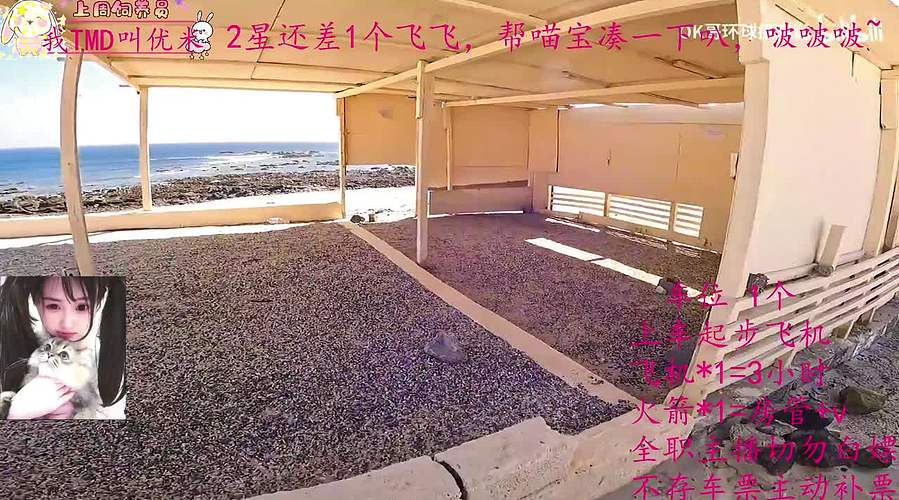 奶喵喵超级无敌白！！！