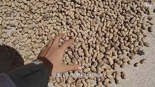 渔妹带你来赶海，来看有没有你没见过的