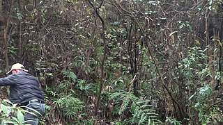 乡土记食的直播间