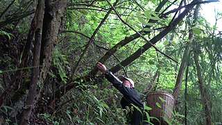 乡土记食的直播间