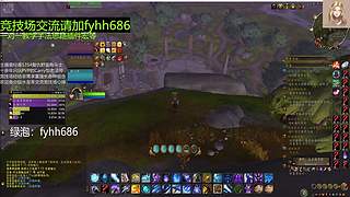 V法-全职业PVP上分(国美欧亚）