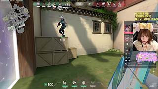 M77：小喵出击！黑域撤离