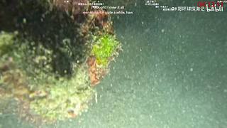 我一夜一夜一夜没阖眼