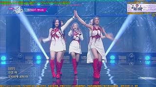 赵光旭滇菌萌猫