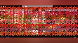 今天吃斋她们悲伤我摇摆