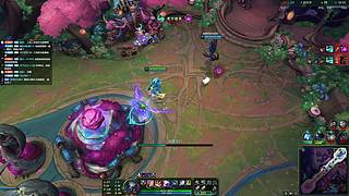 啵啵啵啵啵播播