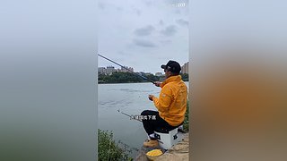 亮gnailux的直播间