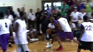 国服最强动物园