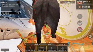 备战星球重启2月份新年区