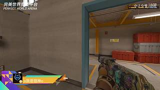 完美上赛季S，5ED冲S，30天努力版