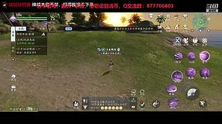 东越后山大树林的唐门