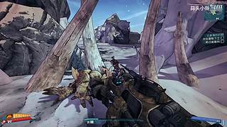 蒜头小新的直播间