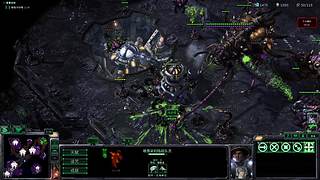 玩的是mod肉鸽之翼