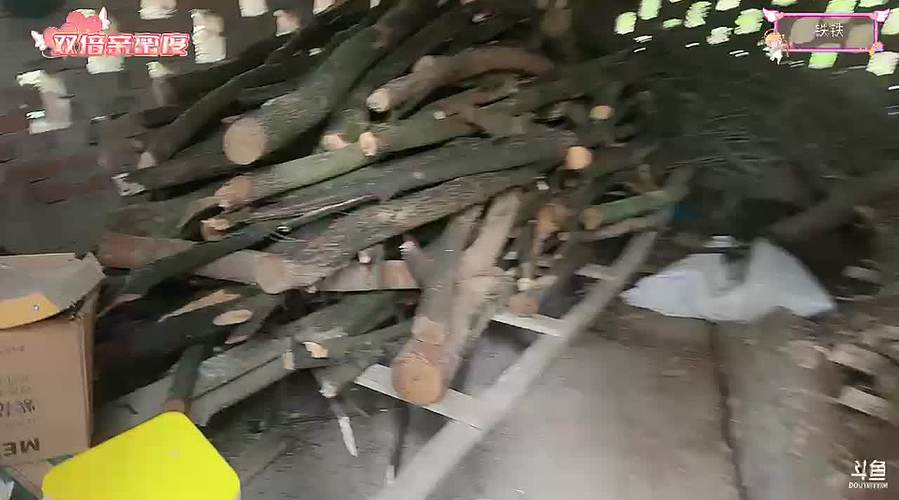 回山上啦宝贝裹起裹起