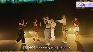 赵光旭滇菌萌猫