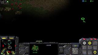 JDD星际争霸群殴的直播间