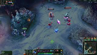 黑色玫瑰灵活排 12741387