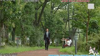 懒猫 美食家 点播