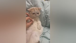 每晚18点直播 52319x