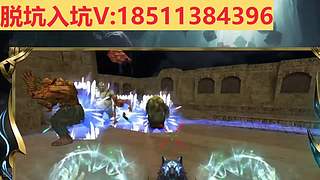 脱坑/入坑/极品号