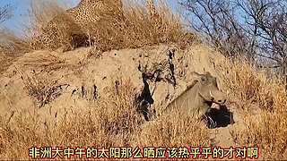 带你了解你不知道知识