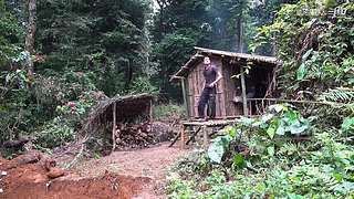 东南亚丛林生活实录