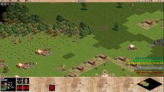 果果的辣眼睛直播