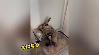 唉呀妈呀！笑抽抽了！