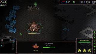 用户03111829的直播间