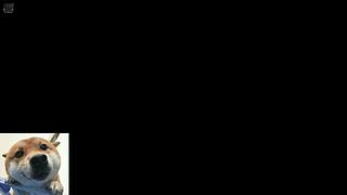 进不了一点集合石