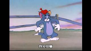 枫泽雨畔的直播间