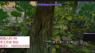 熊猫人85-90 手工升级
