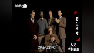 魏蜀吴群雄争霸，发弹幕加入国战