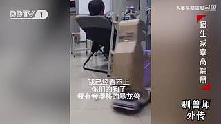 魏蜀吴群雄争霸，发弹幕加入国战