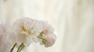 《好久不见，武汉》