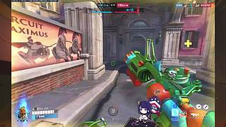 【人道洛阳花似锦】偏我来时不逢春