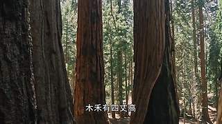 【所长来了】打开宇宙的未知