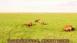 带你了解你不知道知识