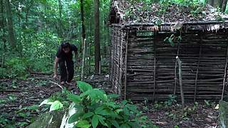 东南亚丛林生活实录